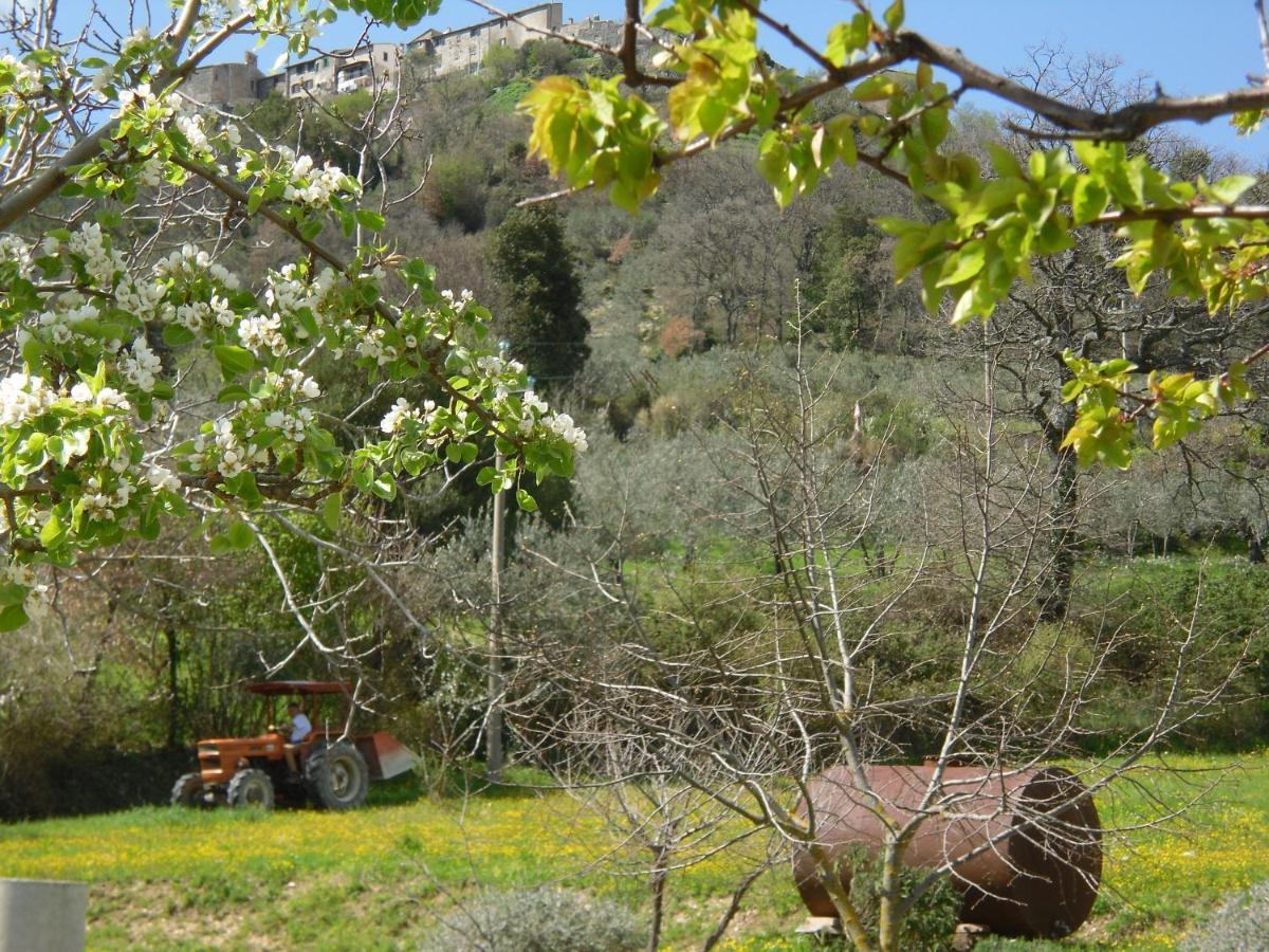 نارني Montanari Agrivillage المظهر الخارجي الصورة