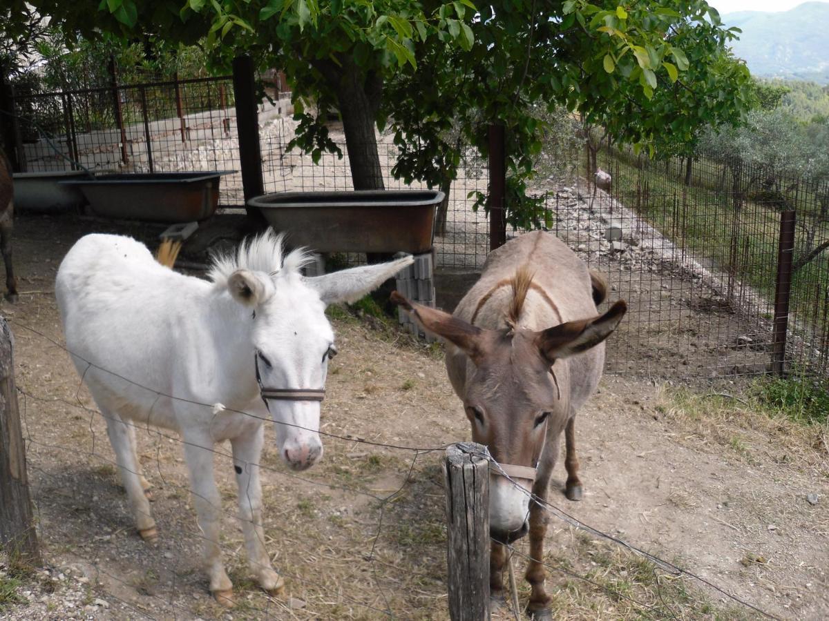 نارني Montanari Agrivillage المظهر الخارجي الصورة