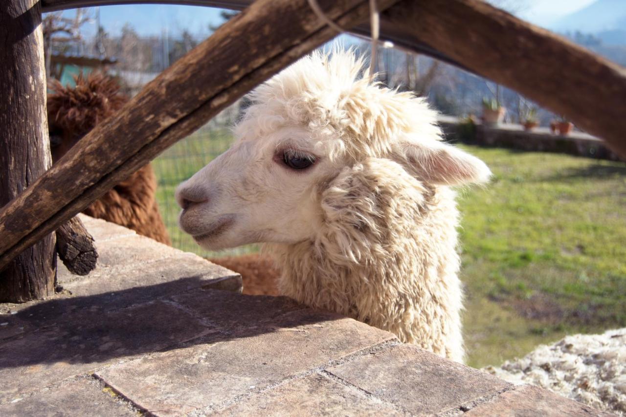 نارني Montanari Agrivillage المظهر الخارجي الصورة
